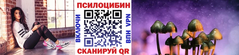 Псилоцибиновые грибы Psilocybine cubensis Краснотурьинск