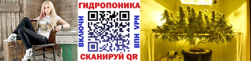 Бошки Шишки ГИДРОПОН  Краснотурьинск 
